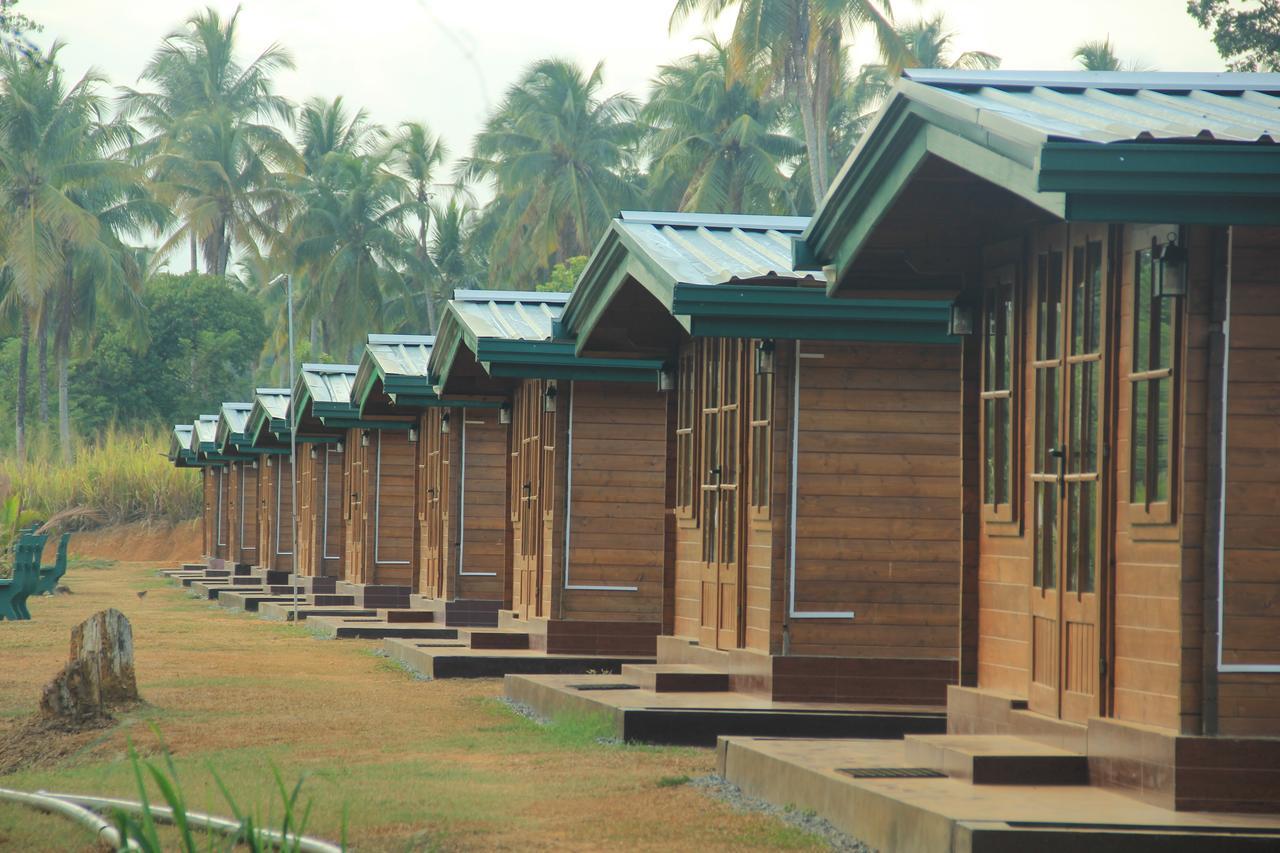 Ma Oya Retreat Pinnawala Pinnawala (Kegalle) Exteriér fotografie