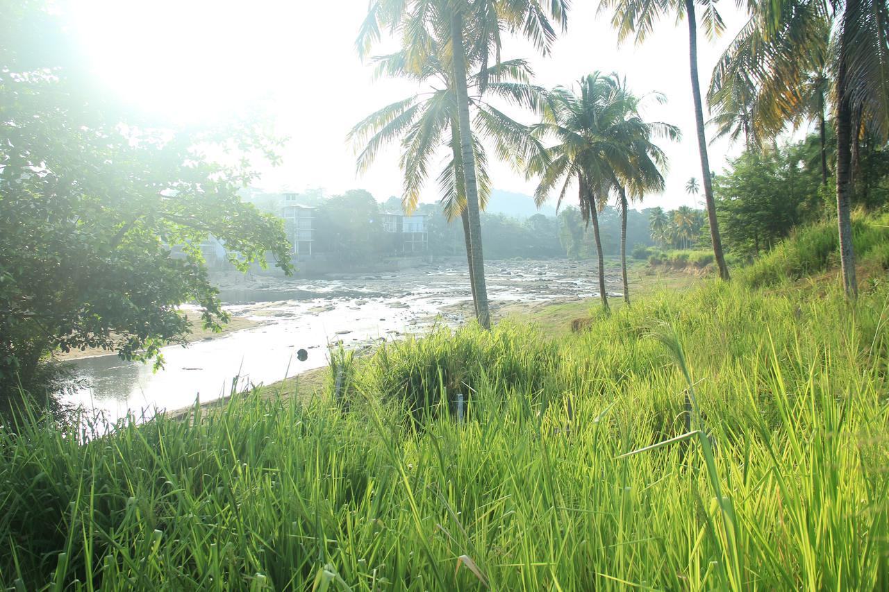 Ma Oya Retreat Pinnawala Pinnawala (Kegalle) Exteriér fotografie