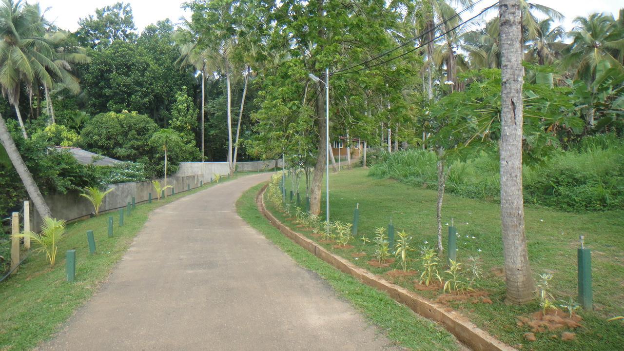 Ma Oya Retreat Pinnawala Pinnawala (Kegalle) Exteriér fotografie