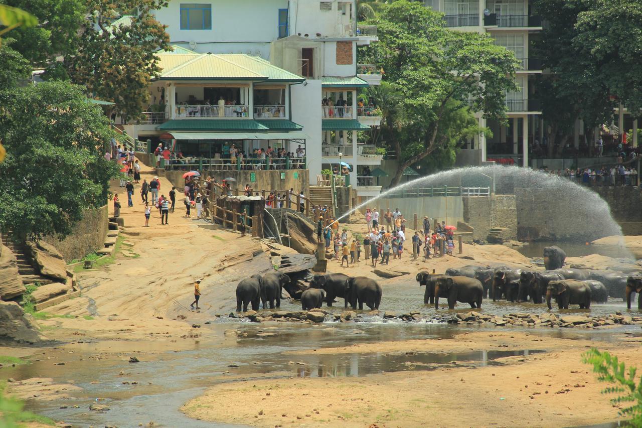 Ma Oya Retreat Pinnawala Pinnawala (Kegalle) Exteriér fotografie