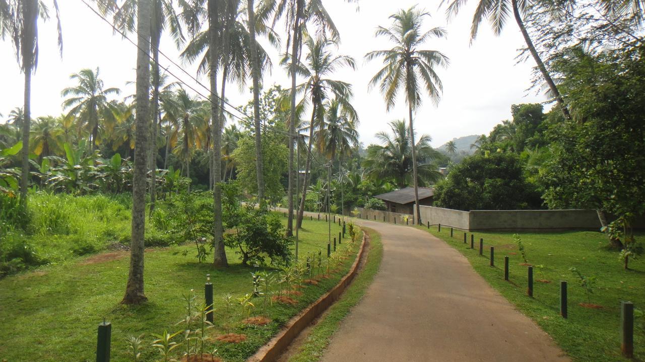 Ma Oya Retreat Pinnawala Pinnawala (Kegalle) Exteriér fotografie
