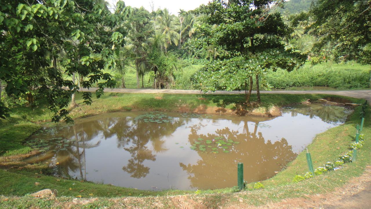 Ma Oya Retreat Pinnawala Pinnawala (Kegalle) Exteriér fotografie